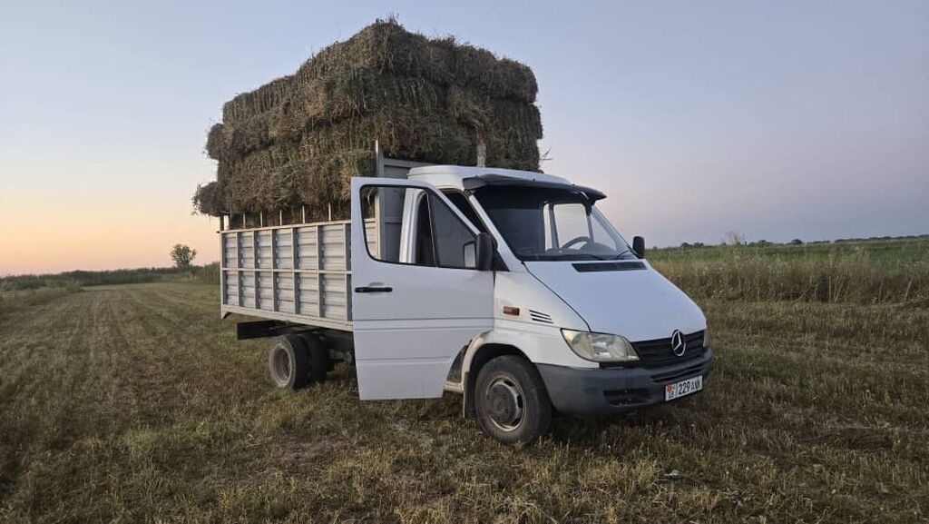 Mercedes-Benz Спринтер: 2004 г., 2.2 л, Механика, Дизель, Бус: фото 3