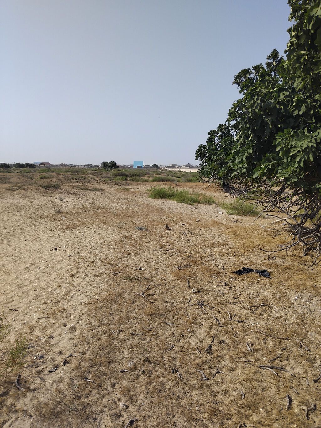 Turkan qes.Qizilqumda.denizden 180 metr arali.Denize panarama goruntu