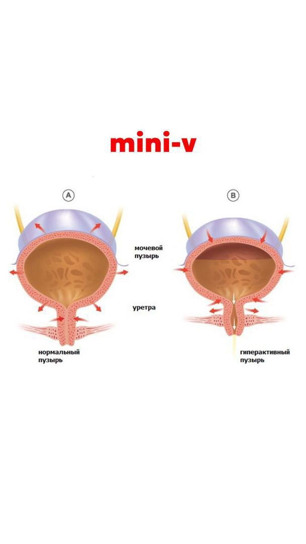 Товары для взрослых: Mini‑V — вагинальные свечи для заботы о женском интимном здоровье