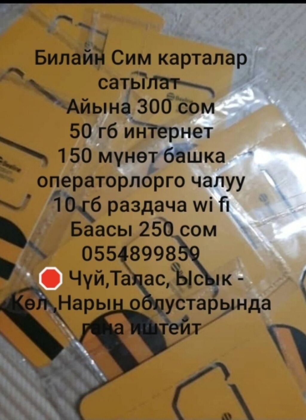 Билайн Сим карталар сатылат Айына 50: 250 KGS ▷ SIM-карты | Бишкек | 97153952 ᐈ lalafo.kg