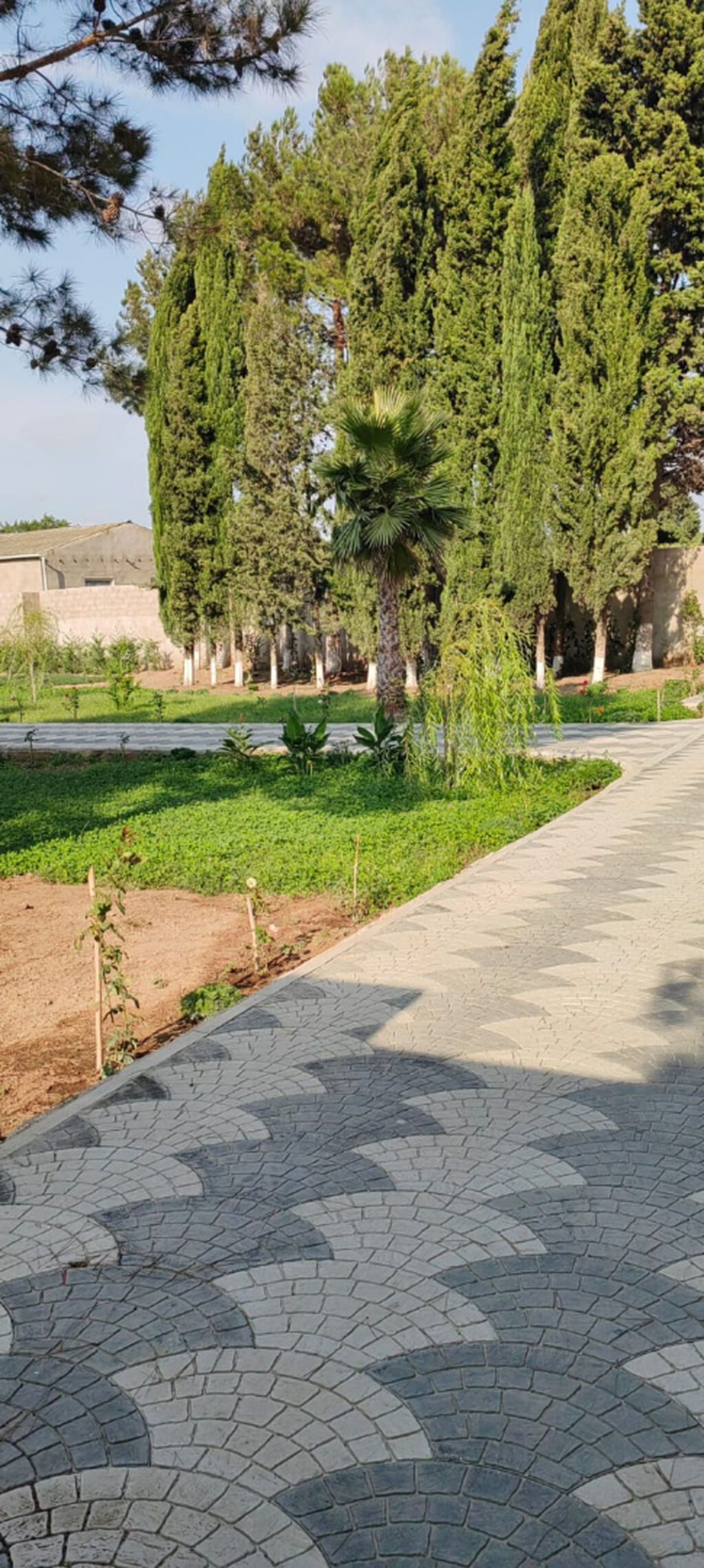 Bağ evi, 3 otaqlı, 134 m², icarəyə verilir, Bakı — 12
