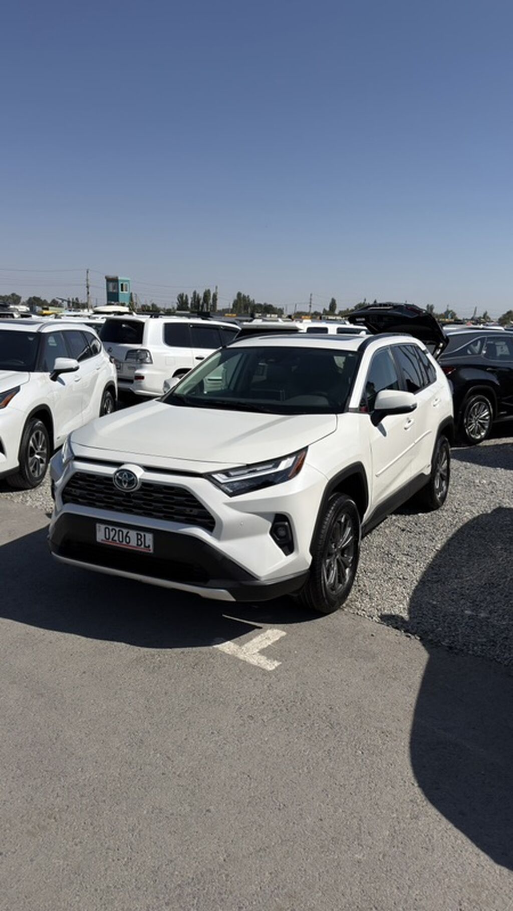 Toyota RAV4: 2022 г., 2.5 л, Автомат, Гибрид, Кроссовер: фото 1