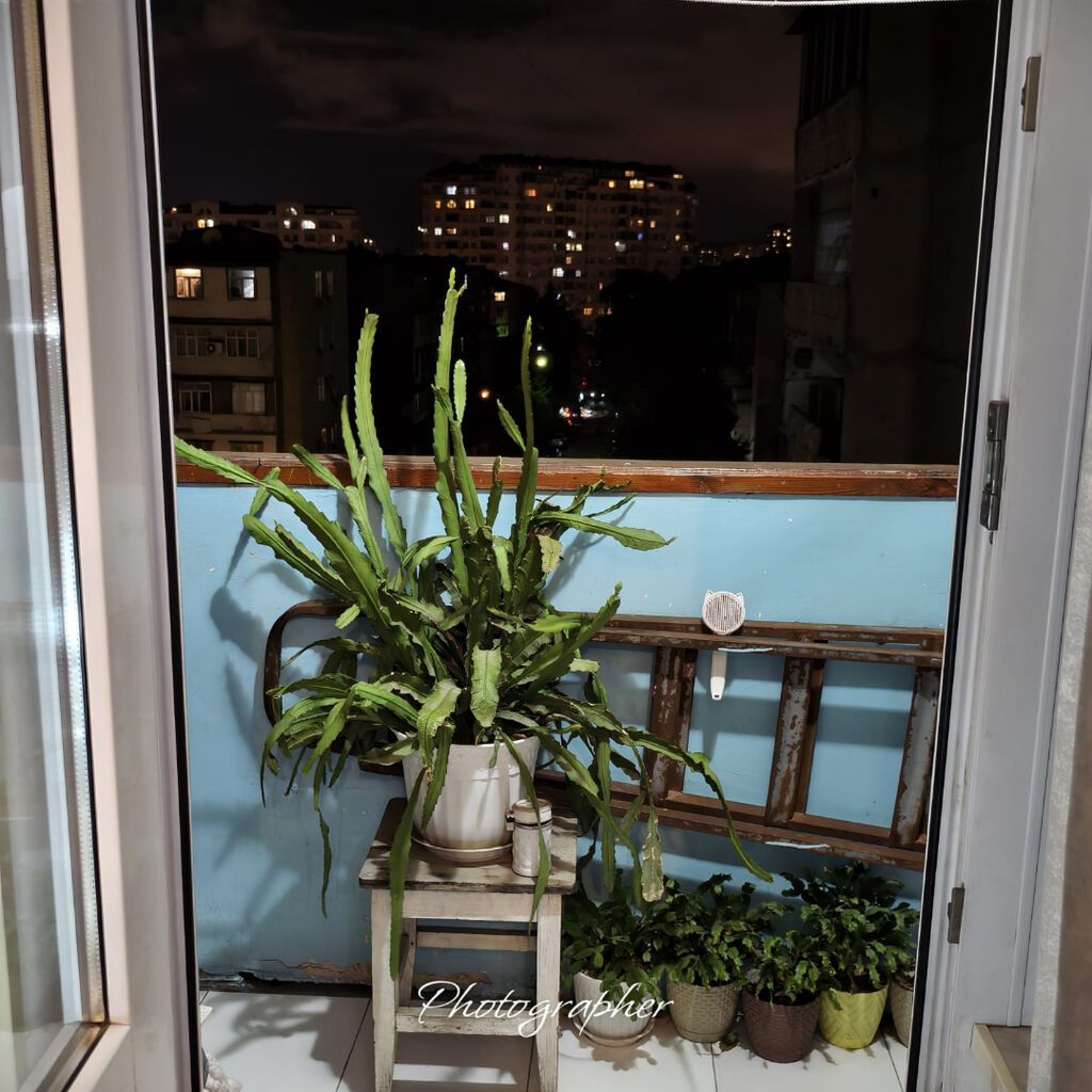 Bakı, 3 otaqlı, Köhnə tikili, 82 kv. m