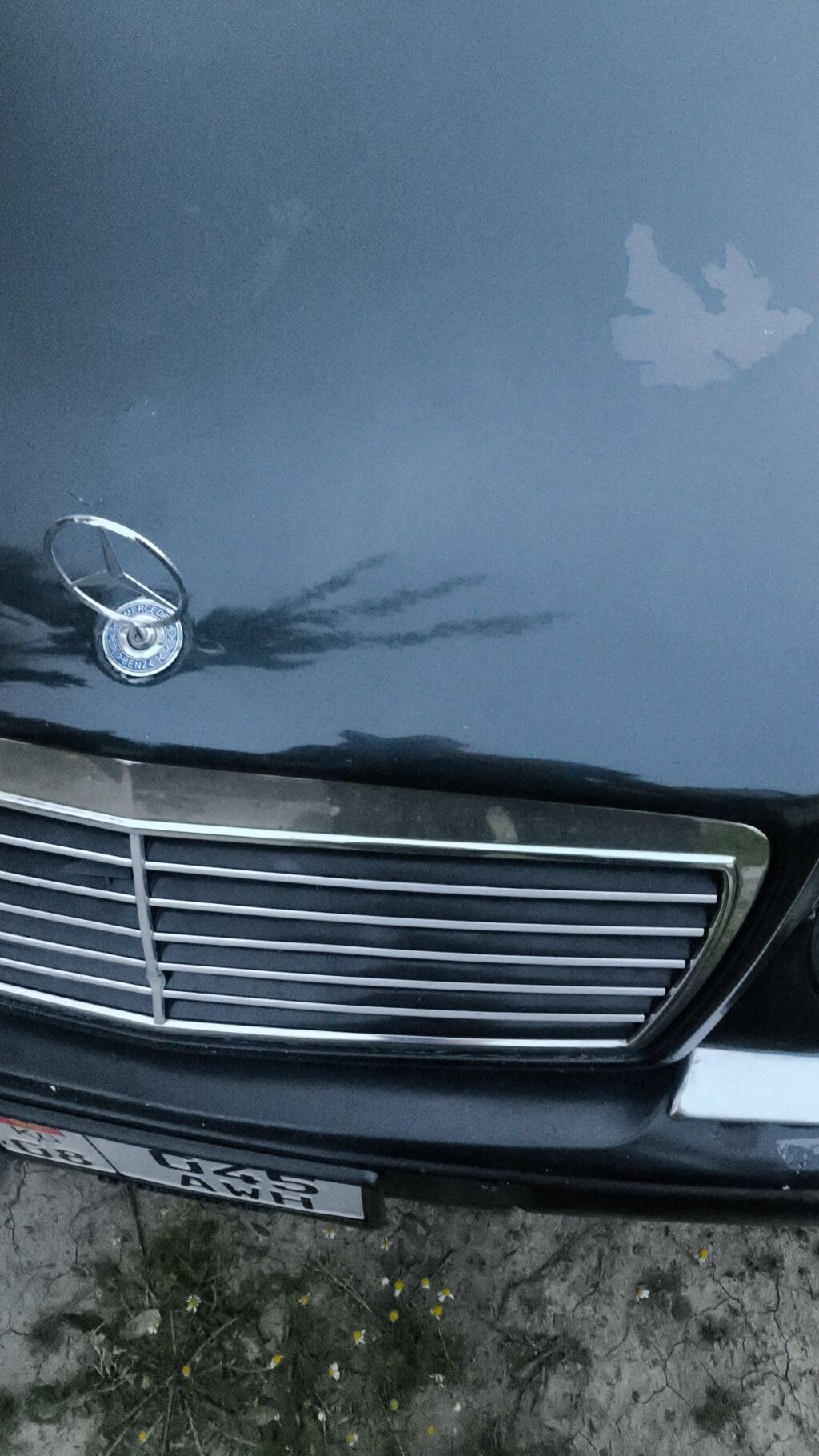 Mercedes-Benz E-Class: 1999 г., 3.2 л, Автомат, Бензин, Седан: фото 3