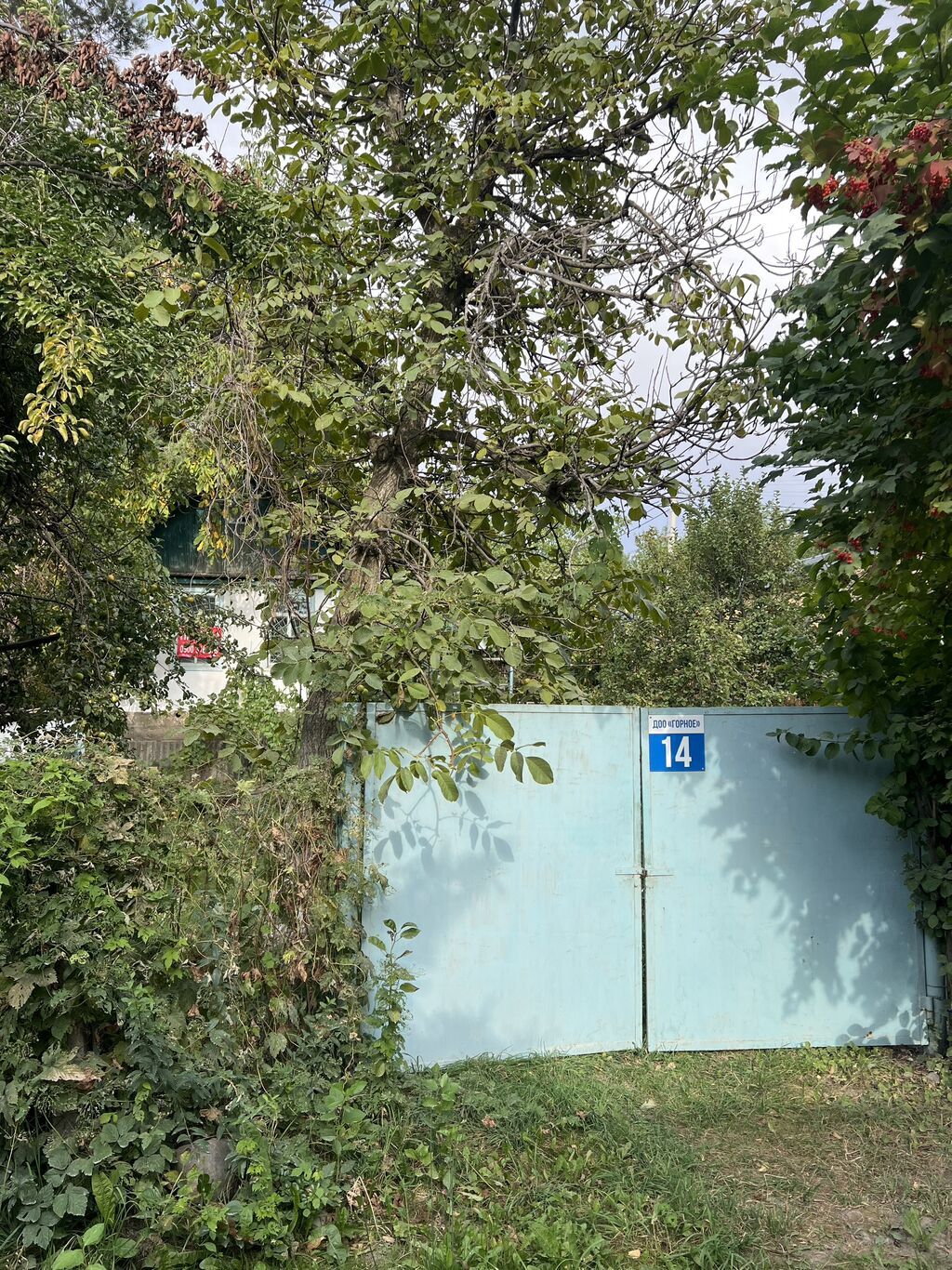 Продаю дачу в село Таш-Мойнок, дачное сообщество Горное.Вторая линия: фото 2