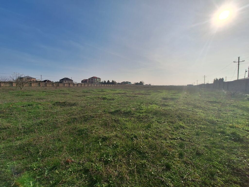 200 sot, Tikinti, Mülkiyyətçi, Kupça (Çıxarış)