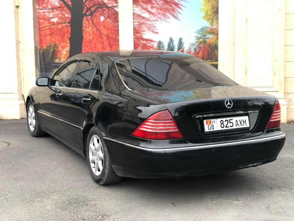 Mercedes-Benz S-Class: 2002 г., 5 л, Автомат, Бензин, Седан: фото 3