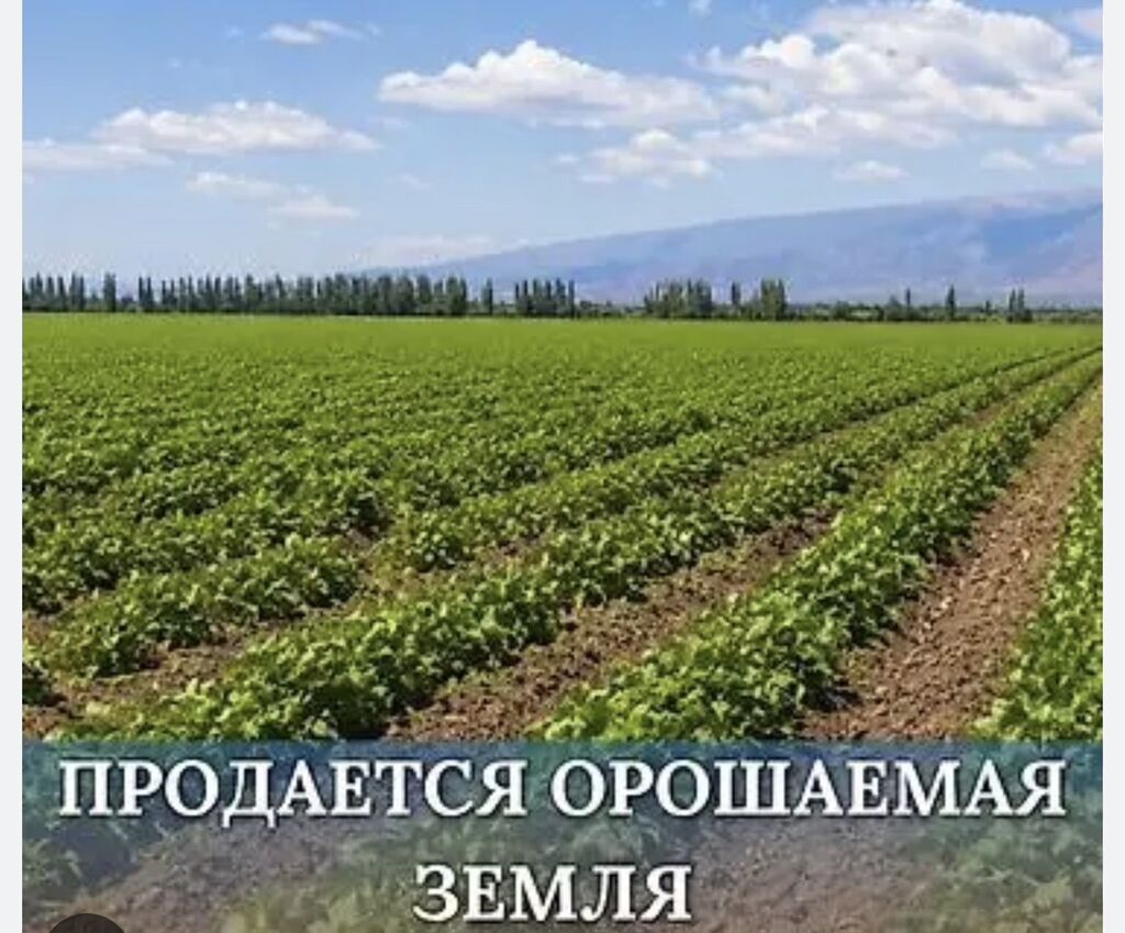 10000 соток, Для сельского хозяйства