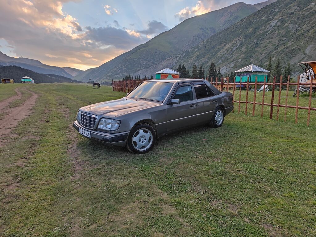 Mercedes-Benz W124: 1993 г., 3.2 л, Механика, Газ, Седан: фото 6