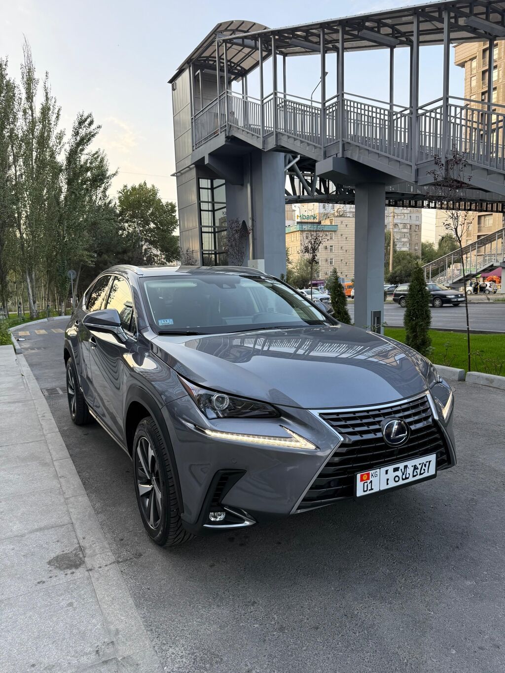 Lexus NX: 2020 г., 2.5 л, Автомат, Гибрид, Кроссовер: фото 1