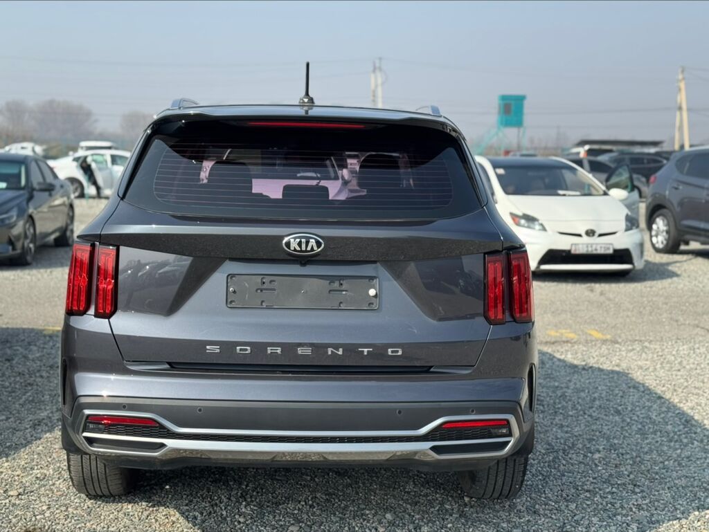 Kia Sorento: 2020 г., 2.2 л, Робот, Дизель, Кроссовер — фото 6
