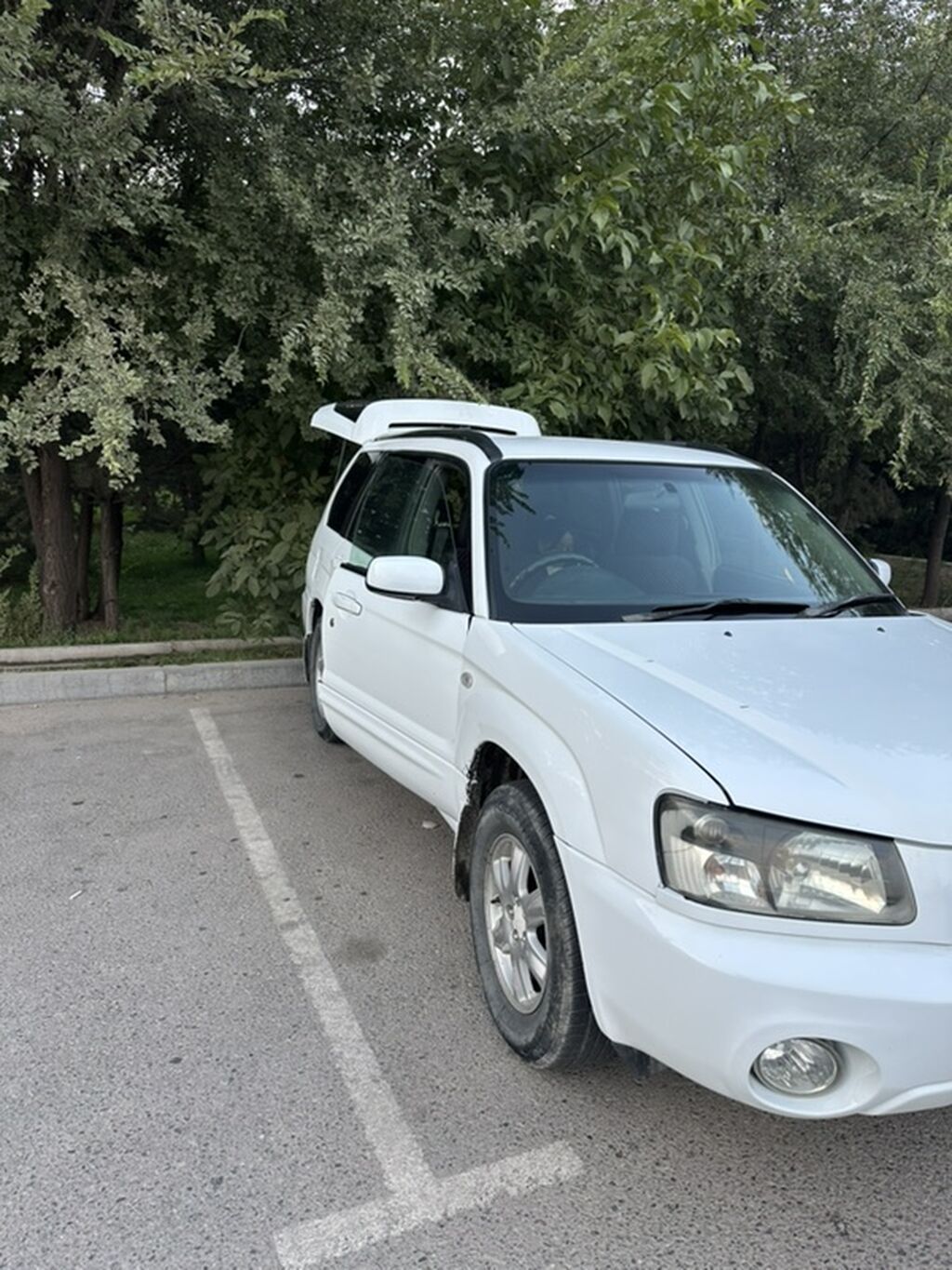 Subaru Forester: 2003 г., 2 л, Автомат, Бензин, Универсал: фото 8