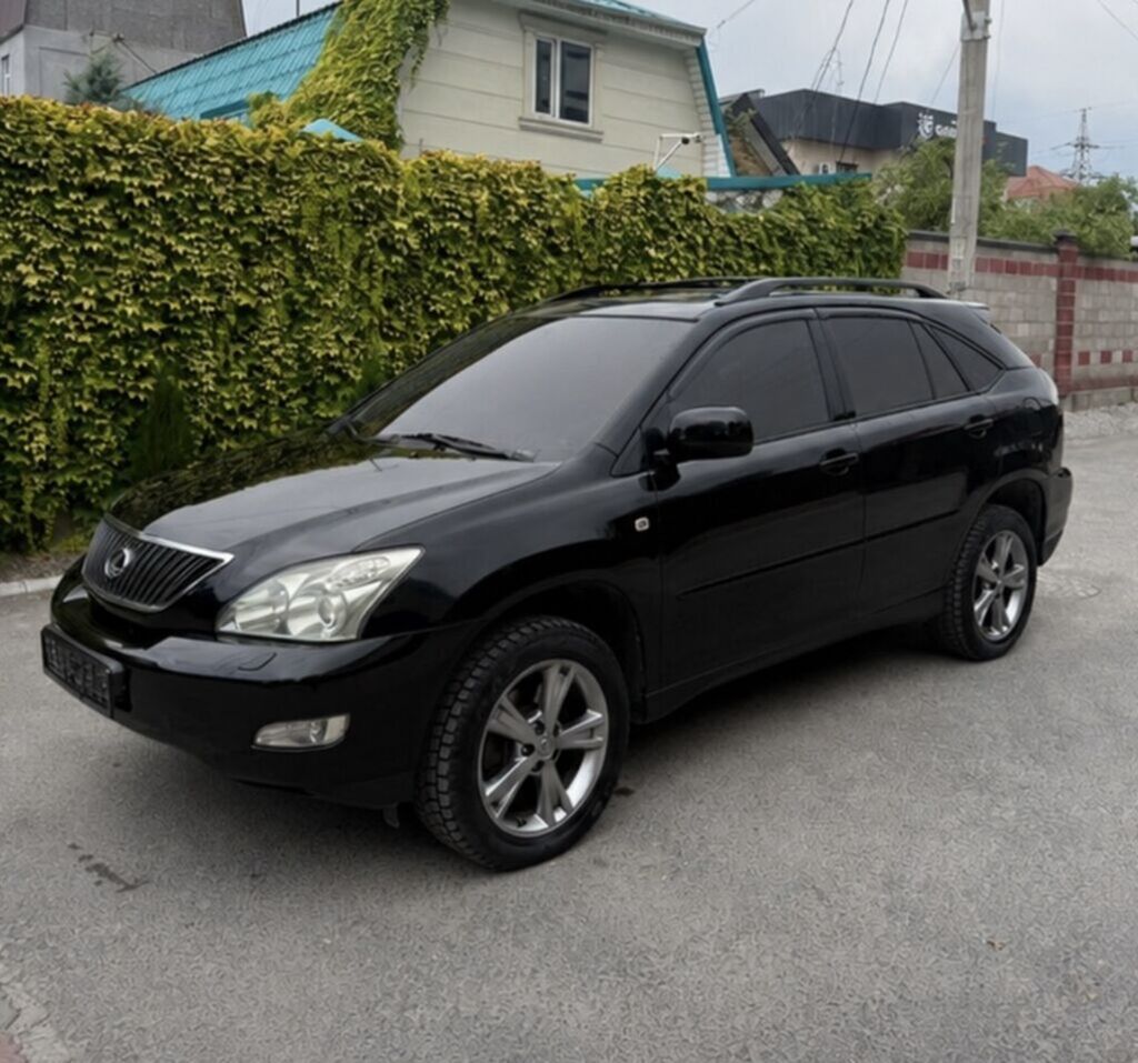 Lexus RX: 2004 г., 3 л, Автомат, Бензин, Кроссовер: фото 1