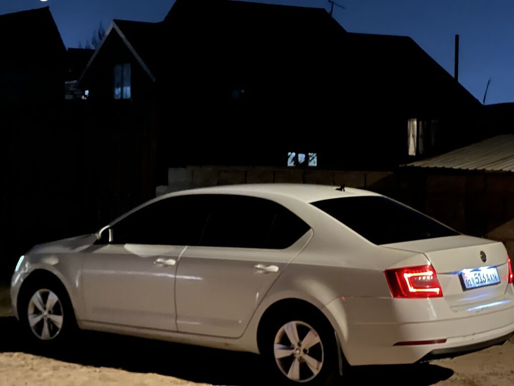Skoda Octavia: 2018 г., 1.6 л, Автомат, Бензин, Седан: фото 8