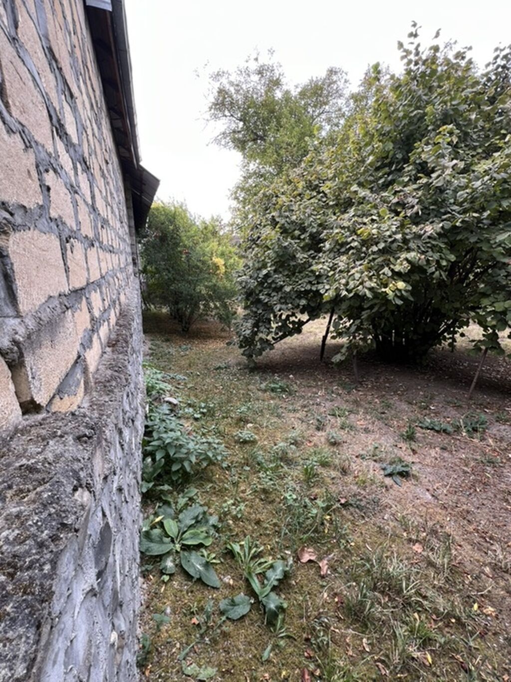 8 sot, Tikinti, Mülkiyyətçi, Kupça (Çıxarış)