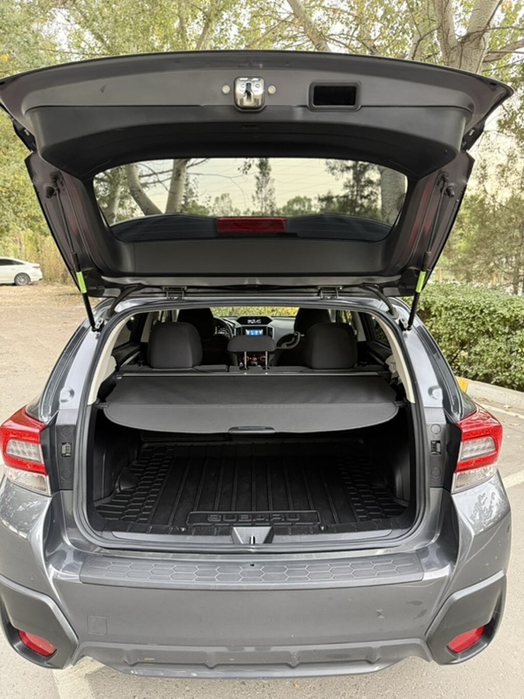 Subaru Crosstrek: 2020 г., 2 л, Вариатор, Бензин, Кроссовер: фото 8