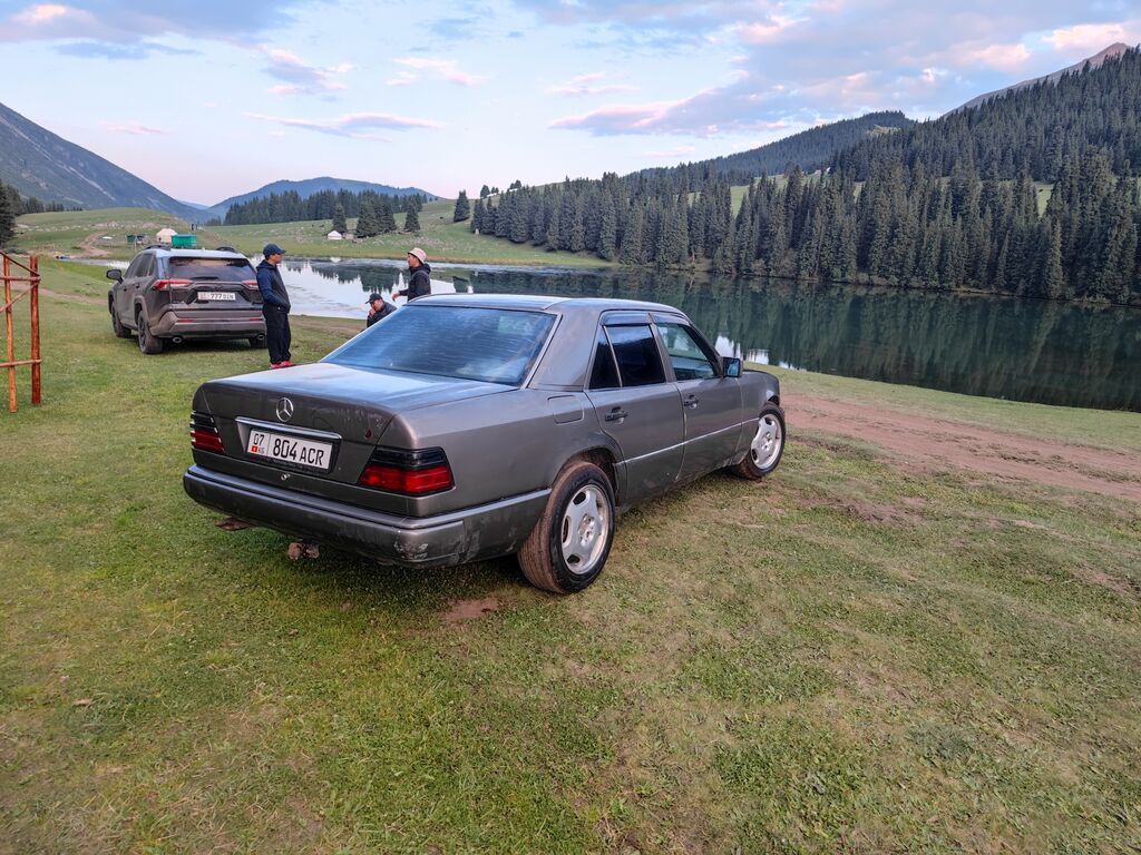Mercedes-Benz W124: 1993 г., 3.2 л, Механика, Газ, Седан: фото 4