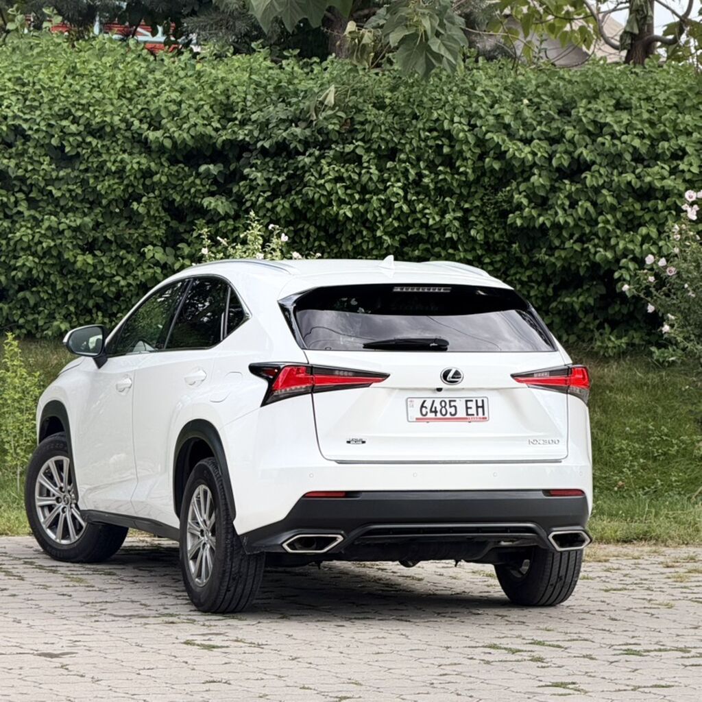 Lexus NX: 2020 г., 2 л, Автомат, Бензин, Кроссовер: фото 4