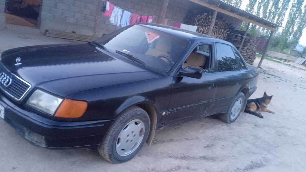 Audi 100