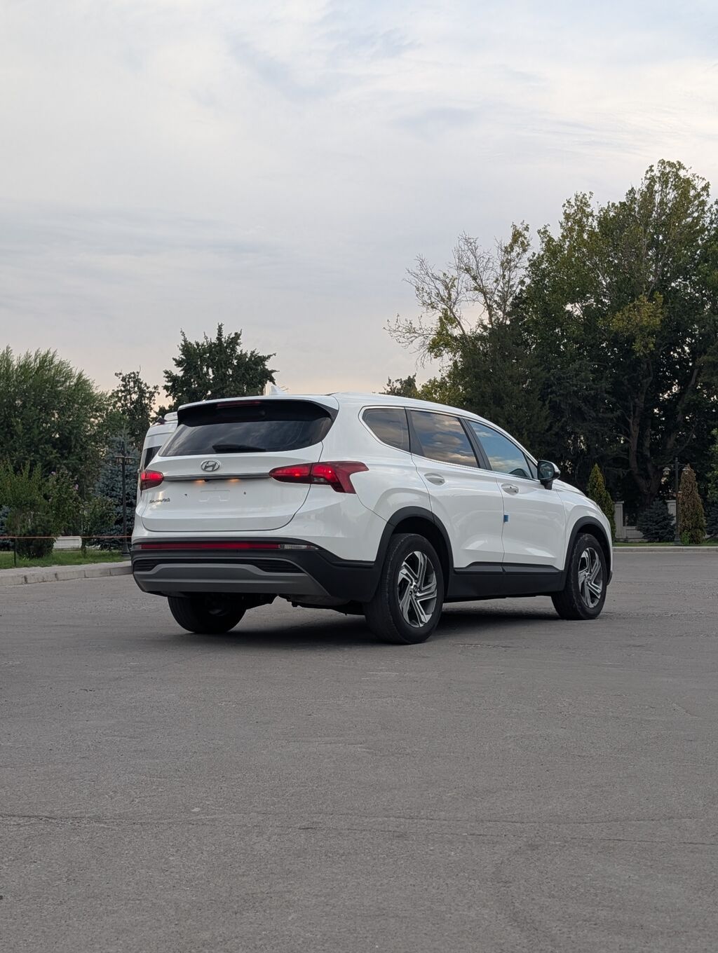 Hyundai Santa Fe: 2022 г., 2.2 л, Автомат, Дизель, Кроссовер: фото 6