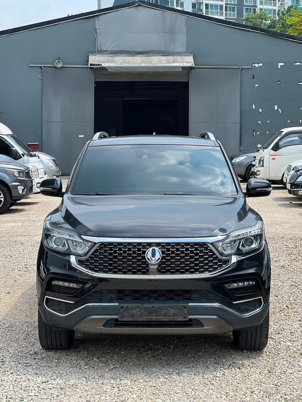 Ssangyong Rexton: 2020 г., Внедорожник: фото 4