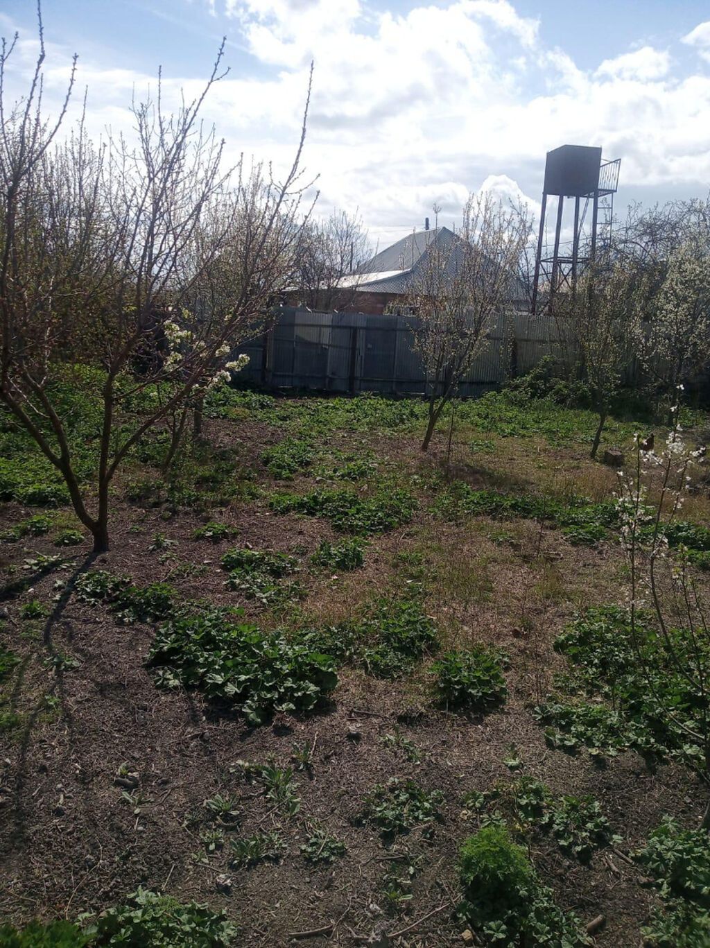 6 sot, Tikinti, Mülkiyyətçi, Kupça (Çıxarış)