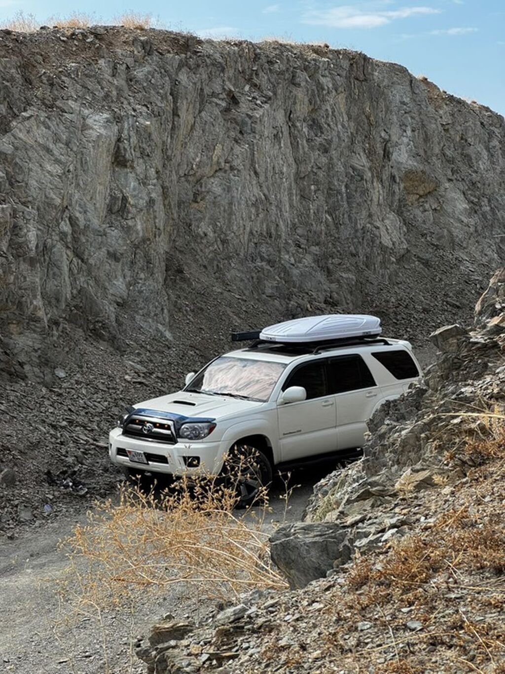 Toyota 4Runner: 2008 г., 4 л, Бензин, Внедорожник: фото 4
