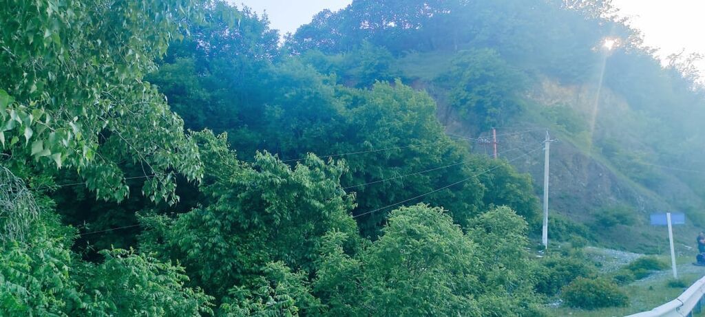 25 sot, Tikinti, Mülkiyyətçi, Kupça (Çıxarış)