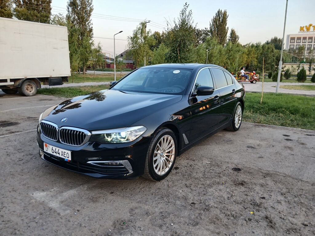 BMW 5 series: 2019 г., 2 л, Автомат, Бензин, Седан: фото 6