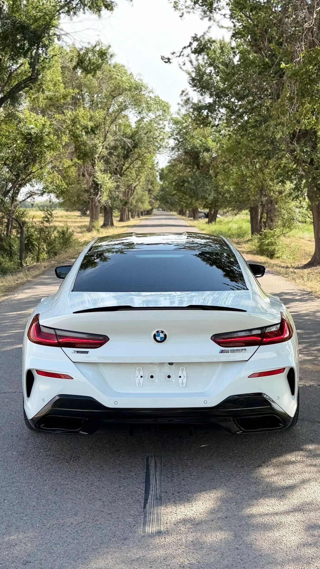 BMW 8 series: 2020 г., 4.4 л, Автомат, Бензин, Купе: фото 4