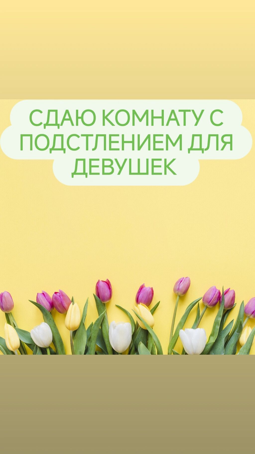 Комната берилет таза тынч жашаган кыздарга. Район Аламедин 1 Чынар