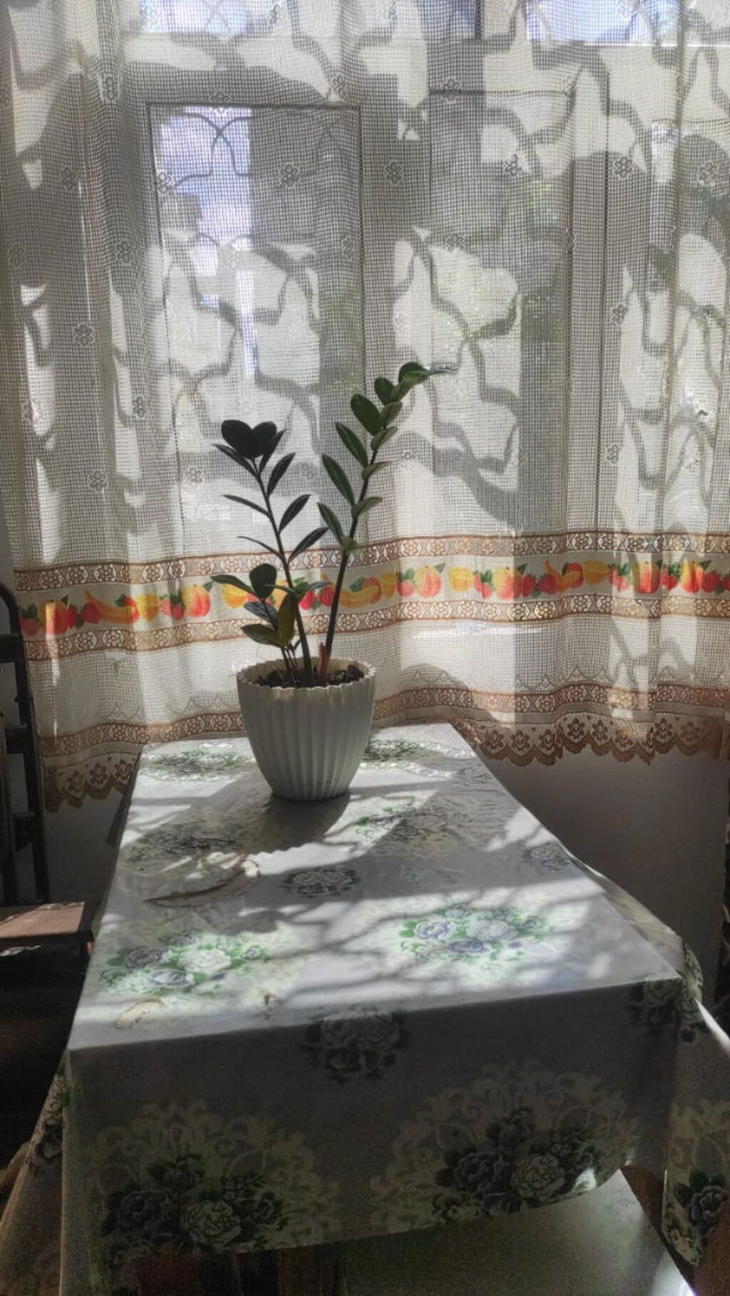 Təcili şəhərin ən prestijli yerində, elmlər akademiyası metrosunun