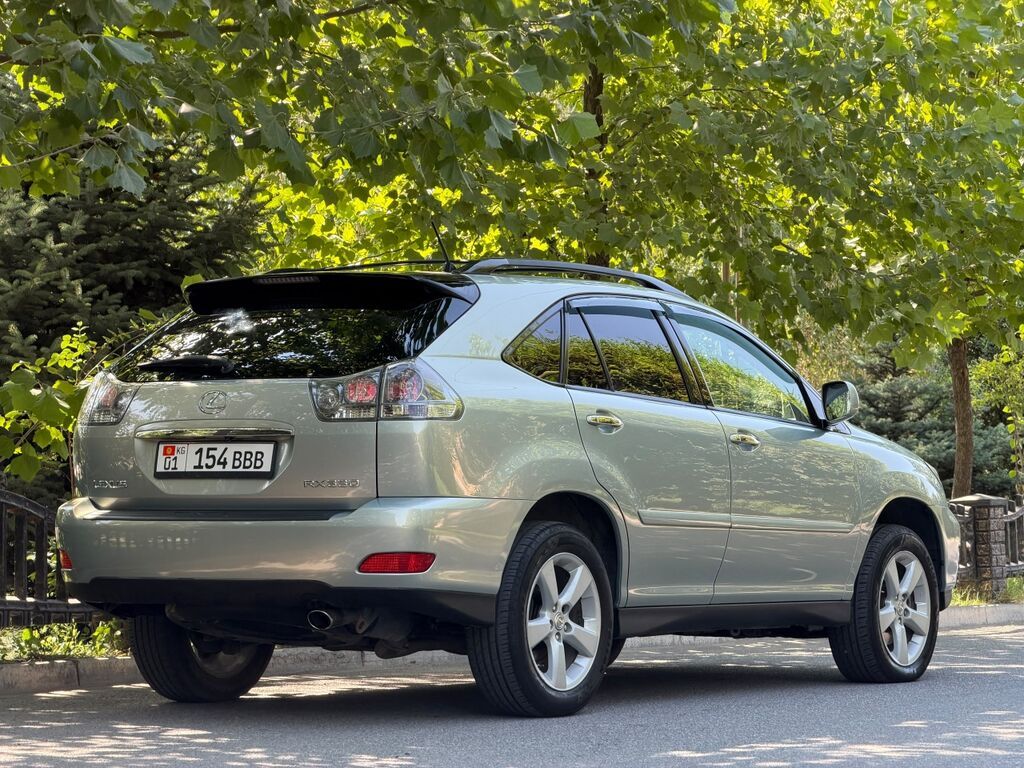 Lexus RX: 2004 г., 3.3 л, Автомат, Бензин, Кроссовер: фото 6