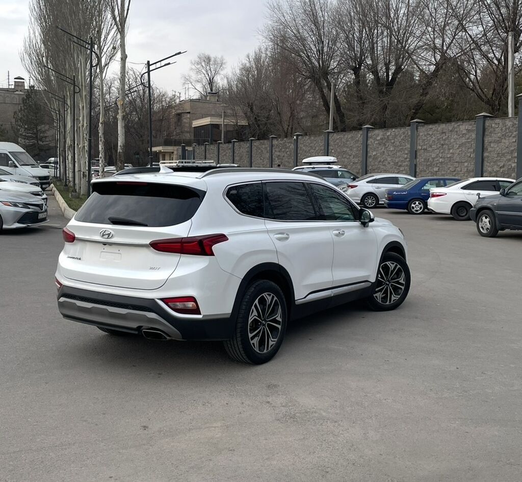 Hyundai Santa Fe: 2019 г., 2 л, Автомат, Бензин, Кроссовер: фото 3