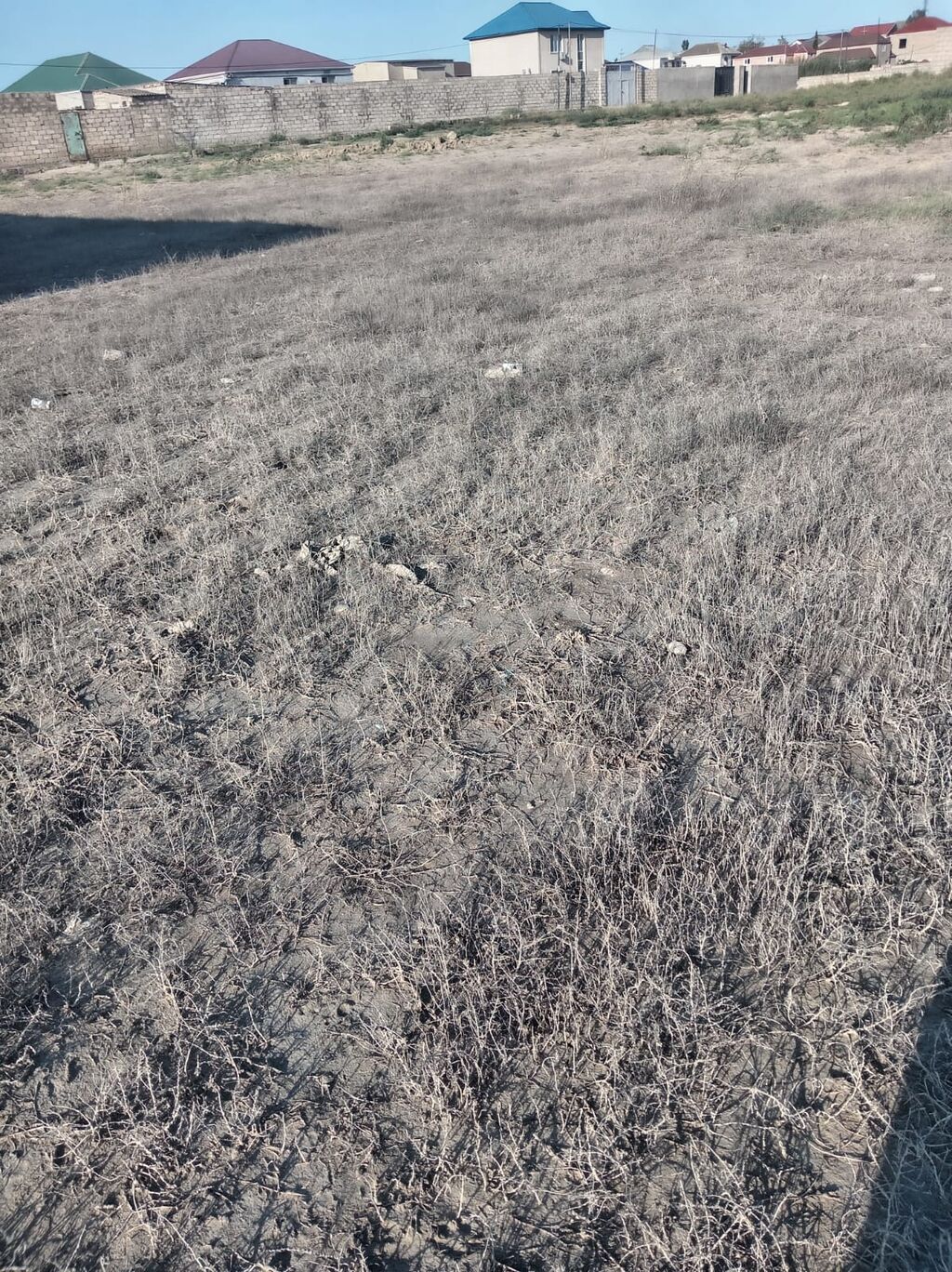 12 sot, Tikinti, Mülkiyyətçi, Kupça (Çıxarış)
