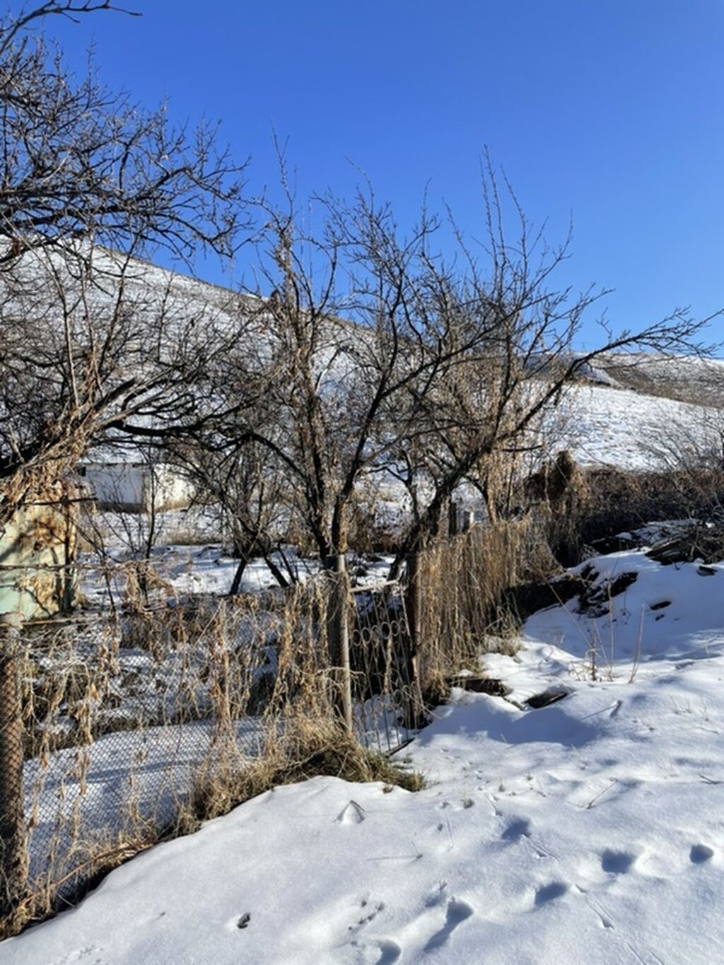 5 соток, Красная книга: фото 2