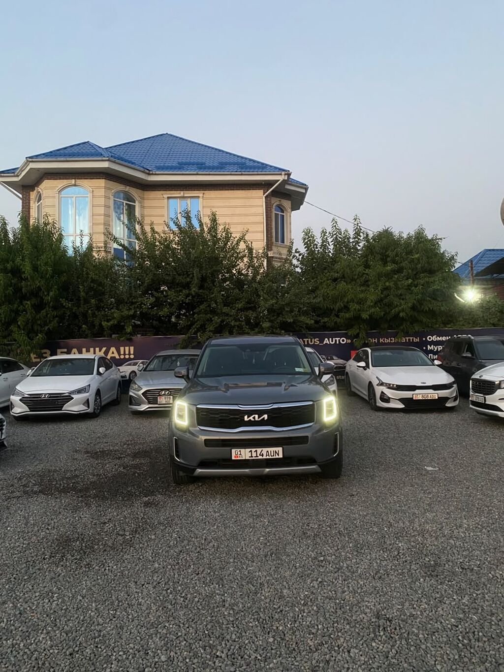Kia Telluride: 2019 г., Автомат, Бензин, Кроссовер: фото 3