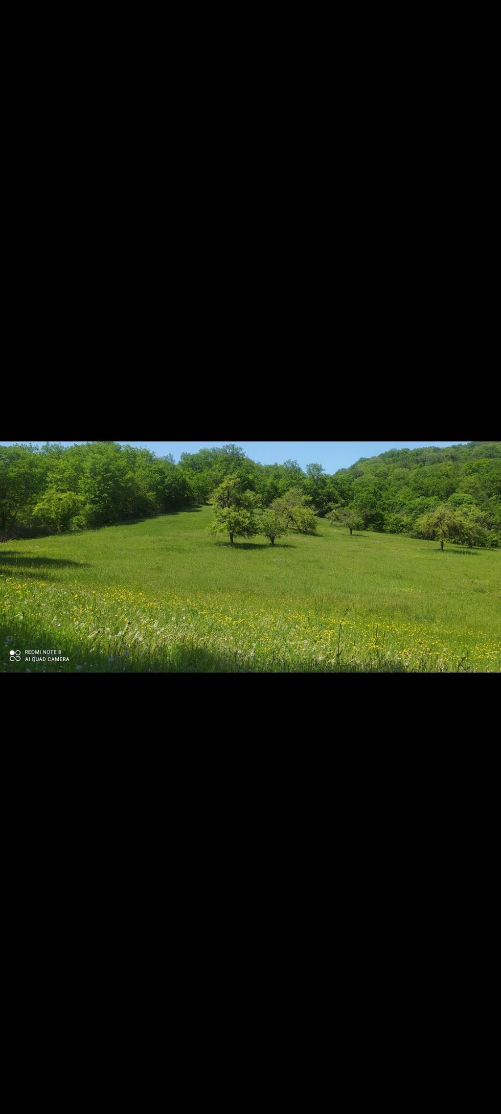 64 sot, Kənd təsərrüfatı, Mülkiyyətçi, Kupça (Çıxarış)