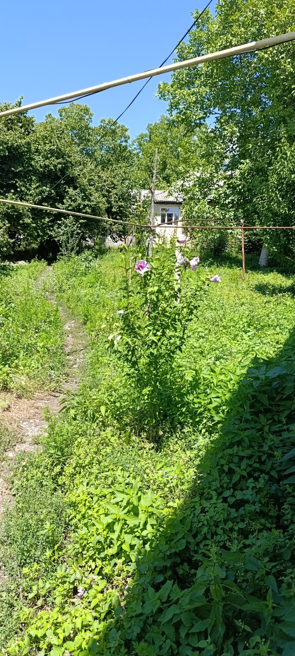120 kv. m, 4 otaqlı, İnternet, İşıq, Su