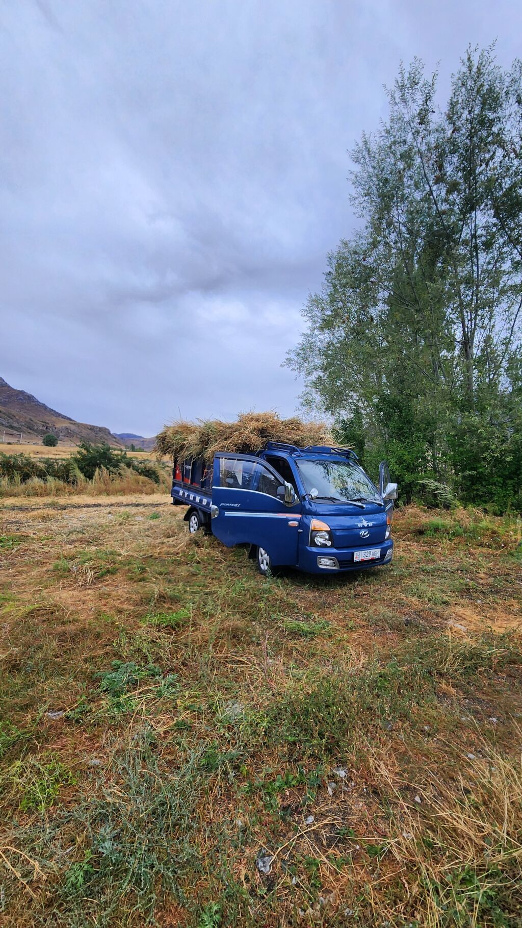 Hyundai Porter