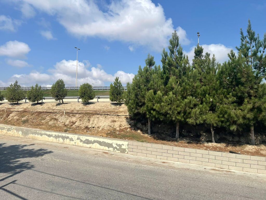 8 sot, Tikinti, Mülkiyyətçi, Kupça (Çıxarış)