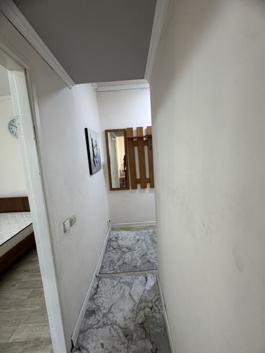 1 комната, 43 м², Индивидуалка, 4 этаж: фото 4
