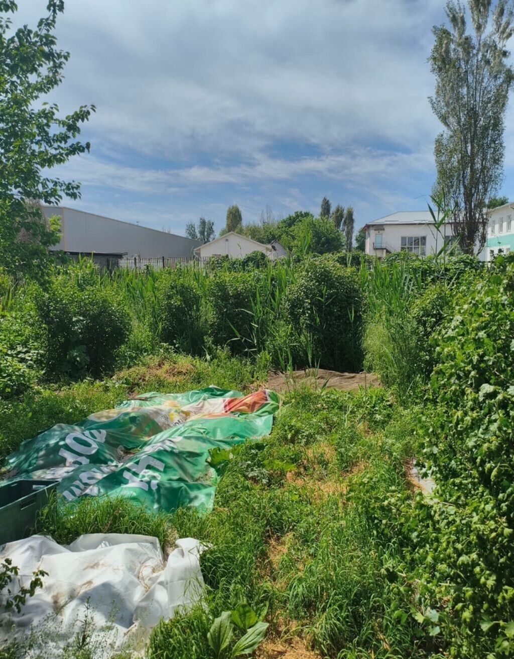 Продается дом 4 комнаты. S=80m2. Участок 8 сот. Цена 155т.$. Торг при: фото 4