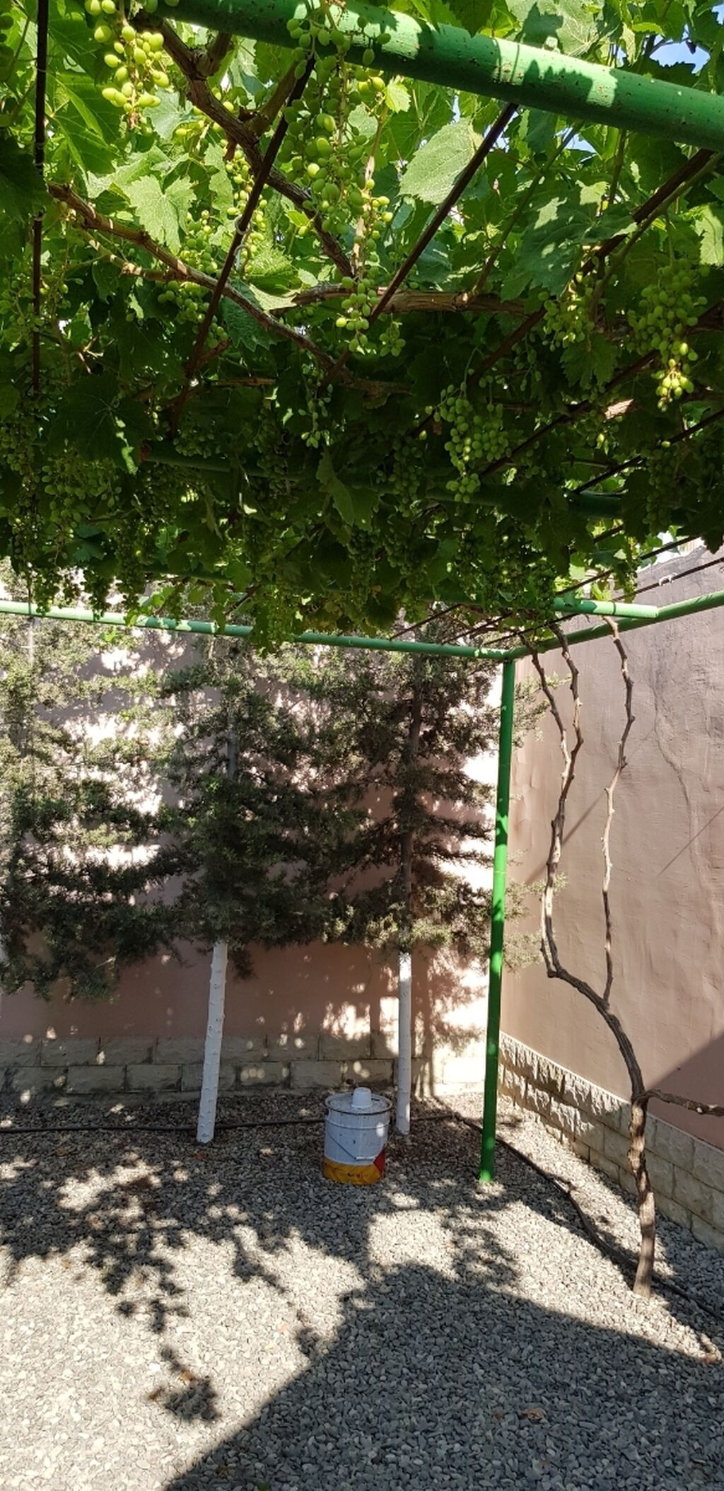 Bakı, Şüvəlan qəs., 220 kv. m, 7 otaqlı, Hovuzsuz, Qaz, Telefon, İşıq