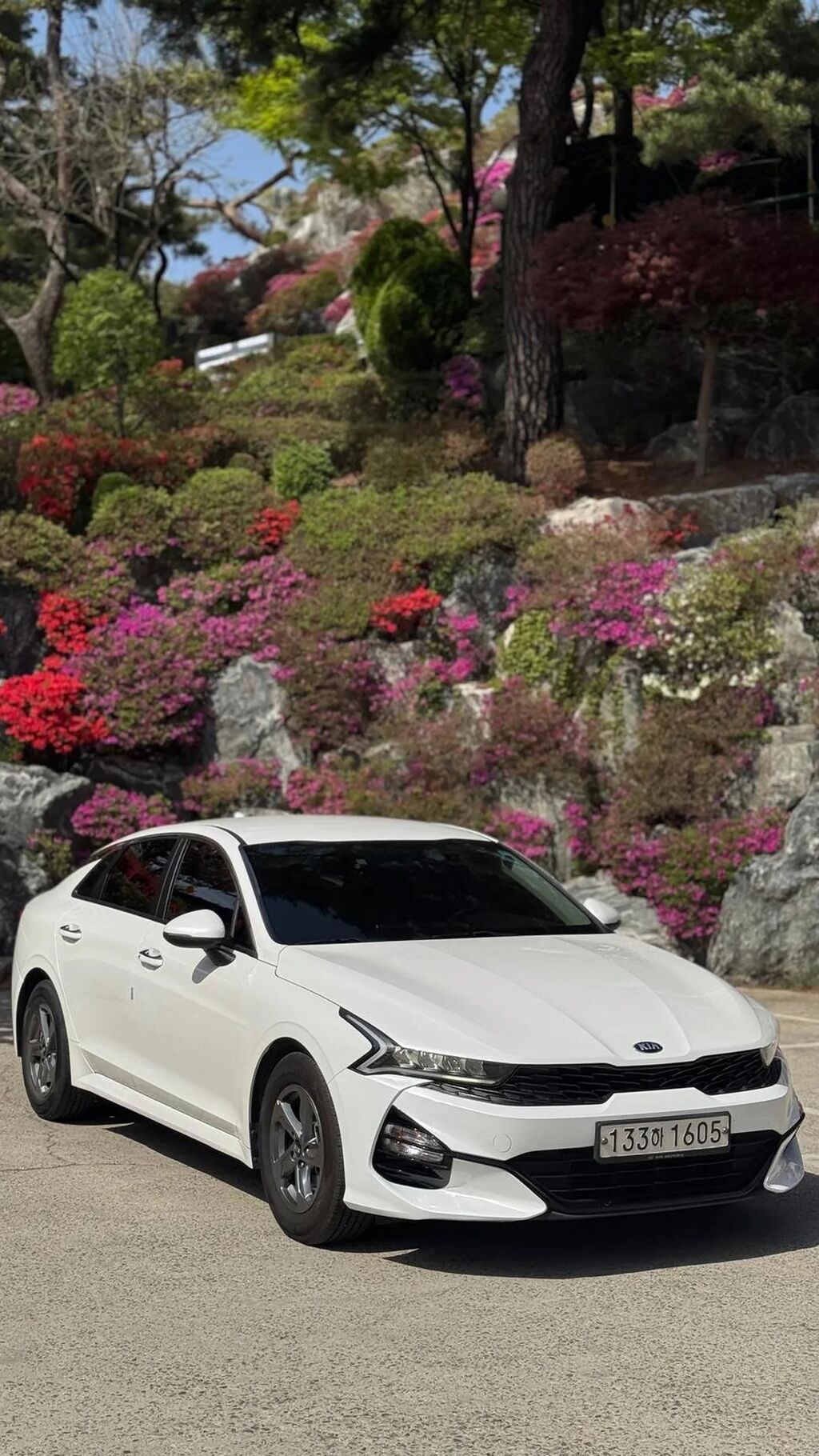 Kia K5: 2020 г., 2 л, Автомат, Газ, Седан: фото 2