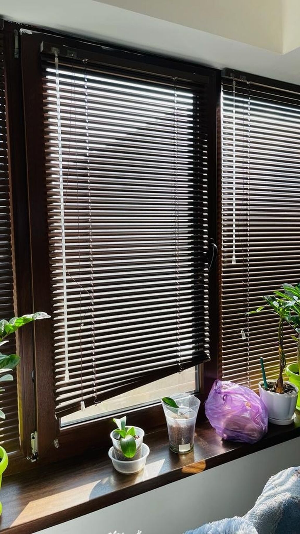 Стирка жалюзи. Профес-ная чистка (стирка) жалюзи: Договорная ᐈ Стирка ...