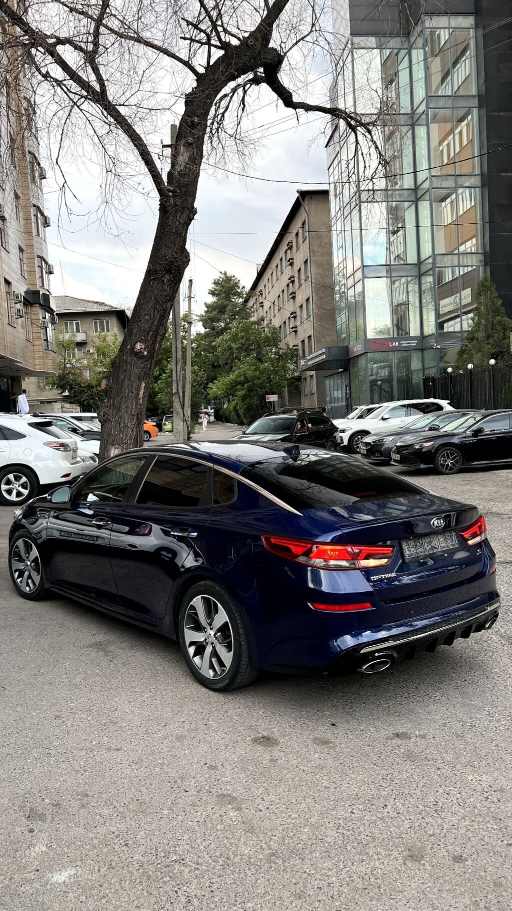 Kia Optima: 2019 г., 2.4 л, Автомат, Бензин, Седан: фото 4