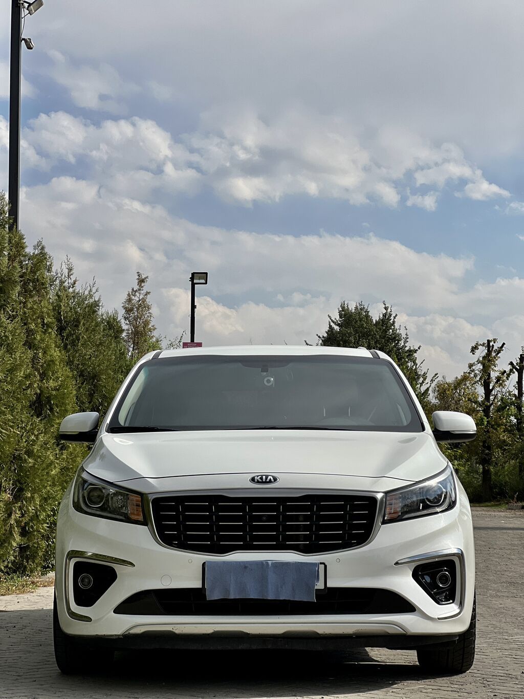 Kia Carnival: 2019 г., 2.2 л, Автомат, Дизель, Минивэн: фото 3