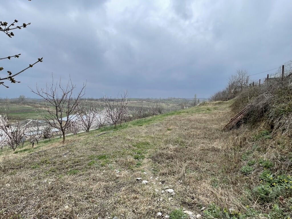 Kənd təsərrüfatı, Makler, Kupça (Çıxarış)