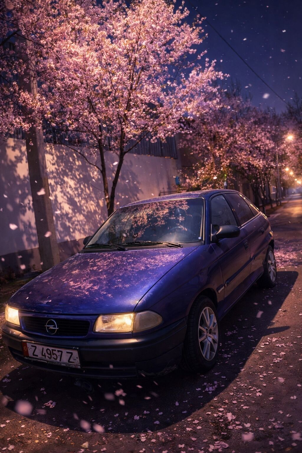 Фото 2